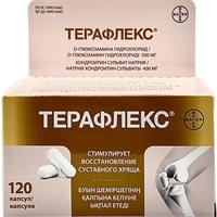 Терафлекс капсулы №120 (флакон)