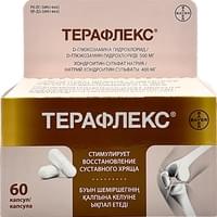 Терафлекс капсулы №60 (флакон)